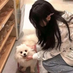 佩皮国王的城堡完整版下载