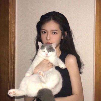 传说对决精英体验服下载